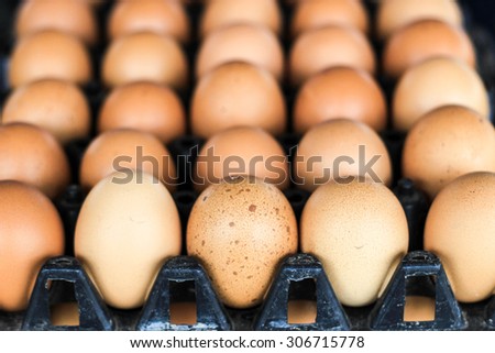 close up spotted skin of hen egg in plastic tray package