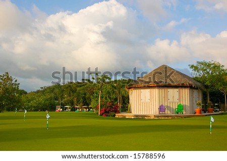 Colorful practice green from a golf course in the Bahamas.
