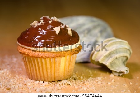 Caramel Buttercream and Smoked Sea Salt Cupcake