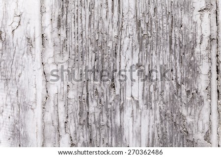 Gray coat of paint on a weathered wooden window shutter panel cracking. Brittle surface texture on decaying plank of wood. Exterior architectural detail. Close up shot outdoors on tripod. Background.