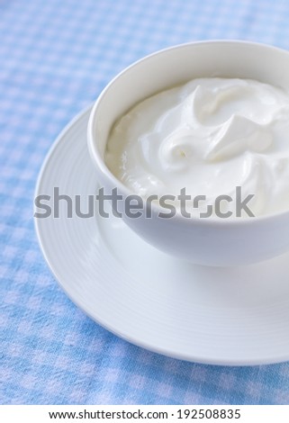 Bowl of Plain Greek Yogurt