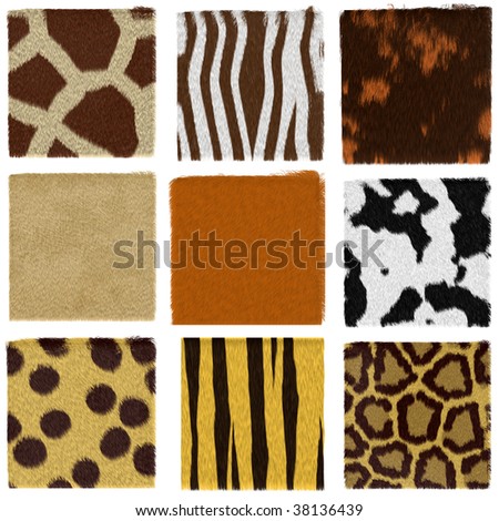 animal kingdom chart. animal kingdom chart. animal fur stock photos; animal fur stock photos. rans0m00. Apr 22, 05:48 PM. if this turned out to be the next iPhone I might buy one