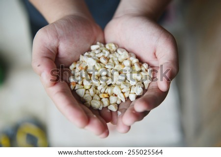 Close up of a children Holding Seeds in Hands