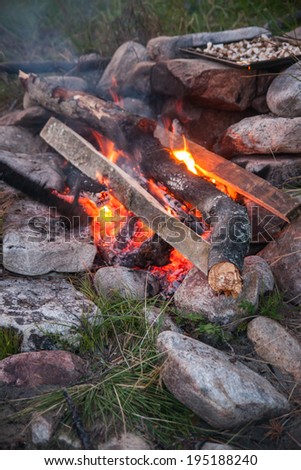 Bonfire on the shore of Lake Baikal, Russia