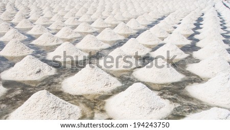 Salt evaporation pond, salt pile in Thailand, salt pan