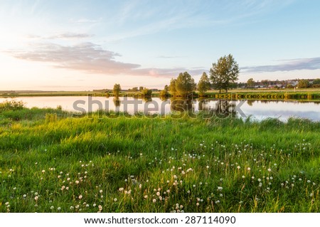 Evening on the river with a field of dandelions, Russia, Ural Mountains