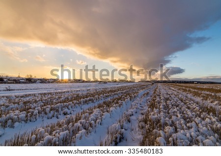 panorama rural field with mown hay and the first snow in Russia, Ural