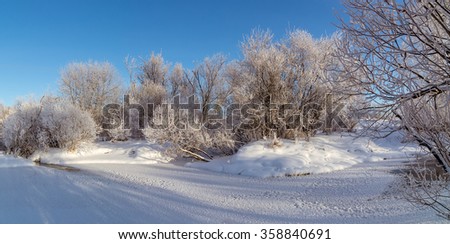 winter panorama of frozen pond with snow-covered bushes, Russia, Ural