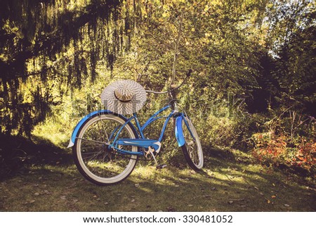 a classic baby blue cruiser bicycle in a park along a treeline and sitting in the grass with a vintage tone instagram filter