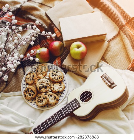 Warm  soft fall  lifestyle  image of cozy random hipster  objects :  wooden ukulele guitar, apples, old books, cookies, checkered plaid.