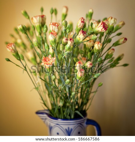 carnation flowers bouquet in ceramic vase with neutral background
