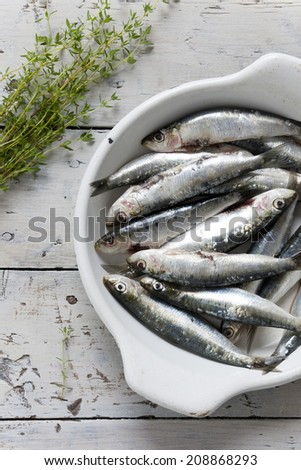 fresh raw sardines on enamelled tray with thyme sprigs on rustic background with white wooden table