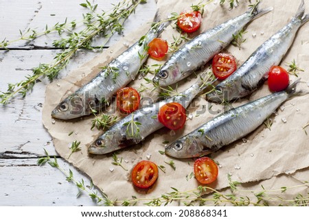 fresh raw sardines on enamelled tray with parsley bouquet on rustic background with rust vintage scissor on white wooden table
