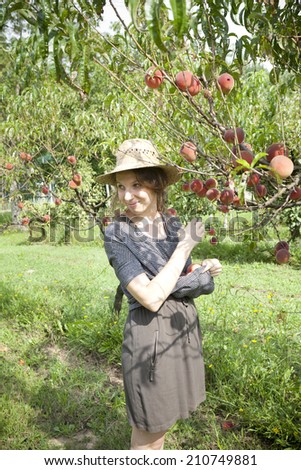young pretty farmer woman with plait and straw hat who gathers peaches from tree