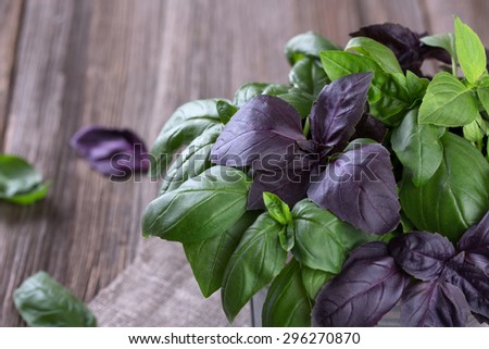 bunch of Fresh green and violet basil leaves on wood background
