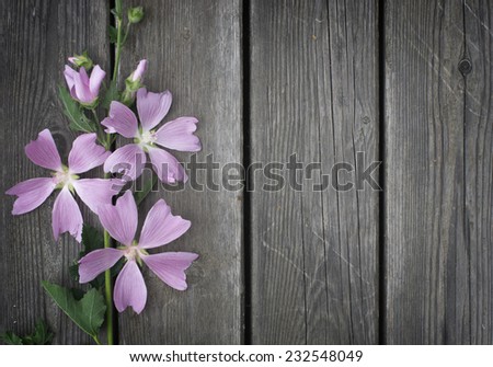 Sprig of purple flowers on a background of old gray wooden planks