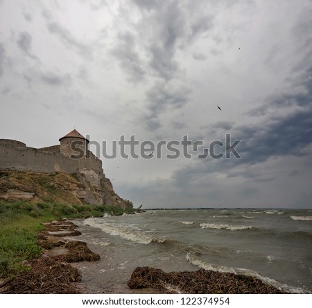 Castle by the sea