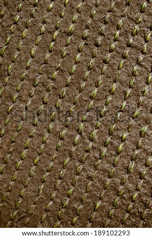 abstract background from plastic rope knit cloth