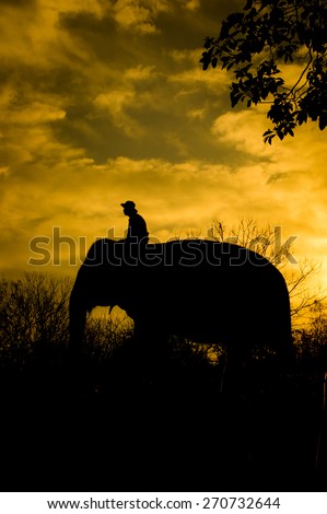 The asian elephant and mahout in forest silhouette