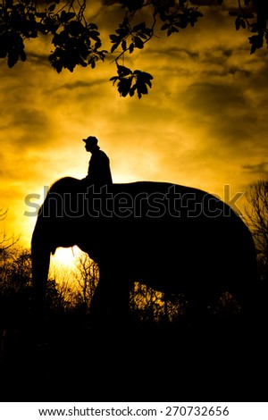 The asian elephant and mahout in forest silhouette
