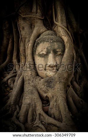 The banyanroot wrap around the buddha face at Wat Mahathat Ayutthaya