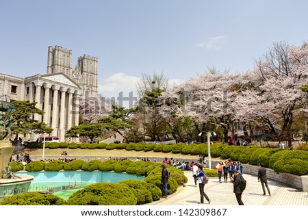 Seoul, Korea-April 18: Students Are Walking And Taking Pictures At The Campus Street Which Is Lined With Cherry Trees Of Full Blossoms In Kyung Hee University On April 18, 2013 In Seoul, Korea.