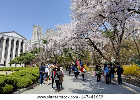 SEOUL, KOREA-APRIL 18: Students are walking and taking pictures at the campus street which is lined with cherry trees of full blossoms in Kyung Hee University on April 18, 2013 in Seoul, Korea.