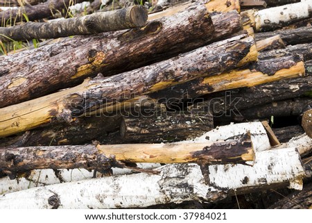 wood for fuel