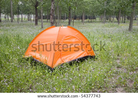 tent set up for camping in grove