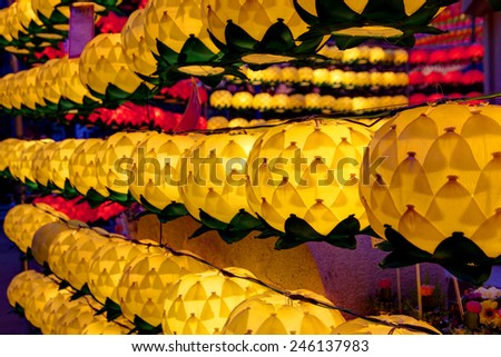 lotus lanterns at night