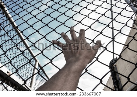 need freedom with hand in jail and bluesky background