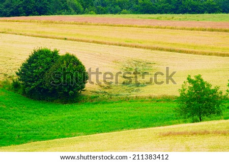 Rural landscape in southern Poland.