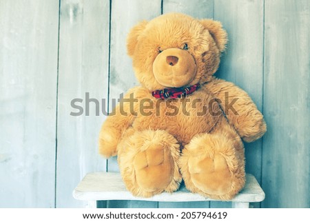 Vintage photo of Teddy bear toy