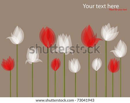 stock photo Picture with white and red tulips on black background