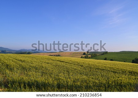 Rural landscape of Hokkaido in Japan/Rural landscape