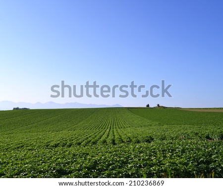 Rural landscape of Hokkaido in Japan/Rural landscape