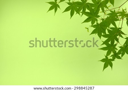 The background material/The background where a leaf of colored leaves was treated.