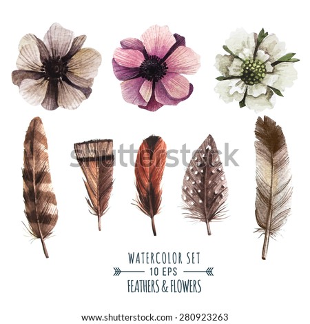 Vector set of flowers and feathers in watercolor style. Illustration in indie style.
