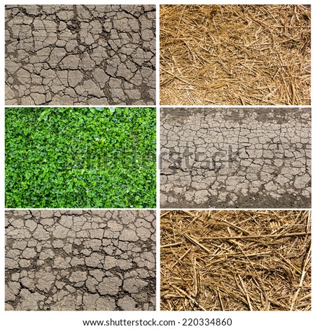 Collection of natural backgrounds: green grass, hay and soil