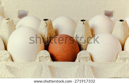 Tray of eggs white and dark  isolated on a white background