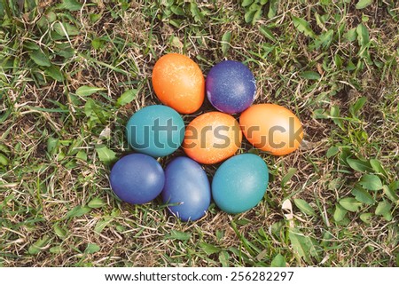 Eight Easter eggs on the lawn. Colored in blue, orange, emerald green and purple. Day light, top view.