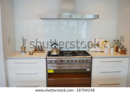 modern designer kitchen with decoration