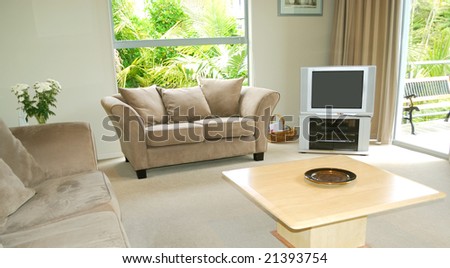 stylish living room with elegant furniture