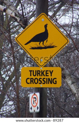 Turkey Crossing