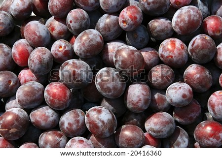 Close-ups of fresh plums. Natural source of vitamins