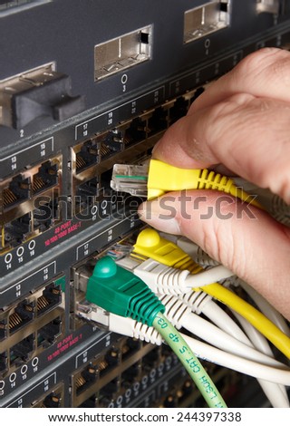 network cables connected to switches