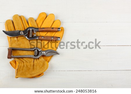 Pruner on garden gloves