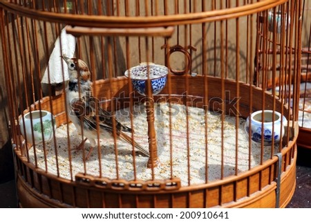 bird in the wooden cage, taken in Hong Kong Bird Market