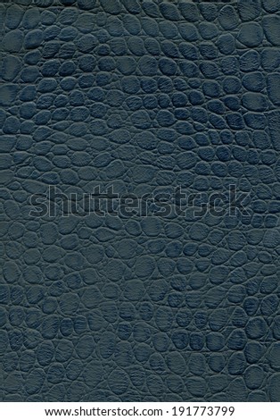 reptile skin texture black, can be the background