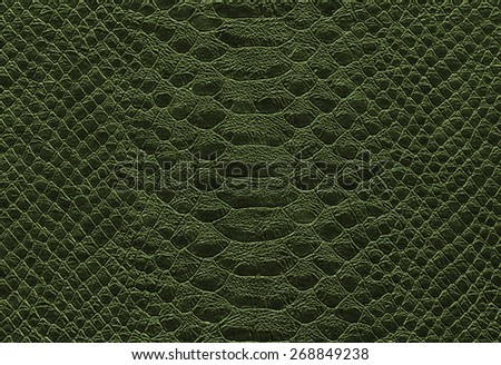 background - green reptile skin texture - Crocodile - snake